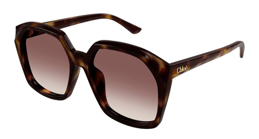 Chloé CH0280S 006