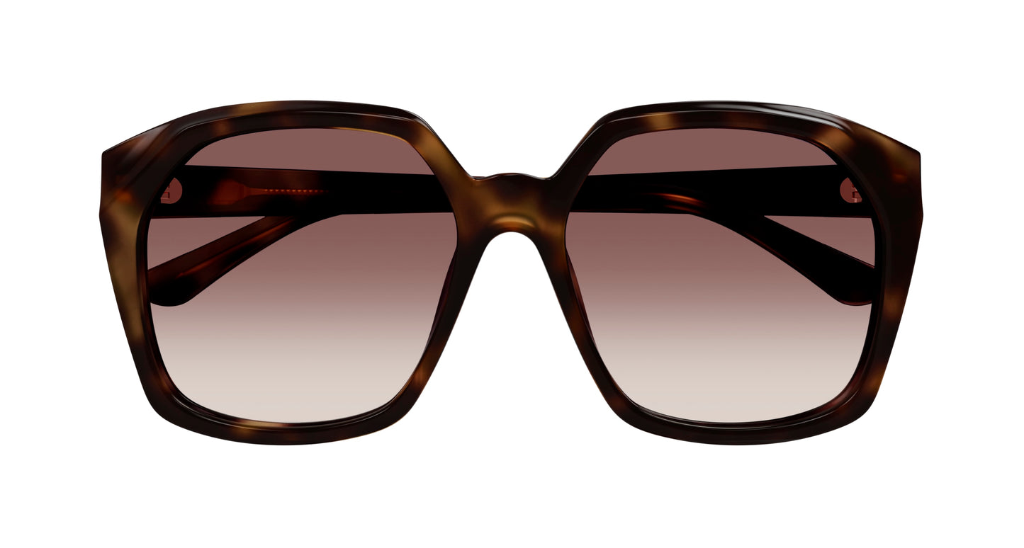 Chloé CH0280S 006